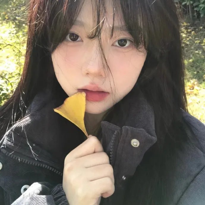 最后的旅人